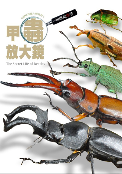甲蟲放大鏡
