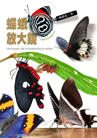 蝶蛾放大鏡