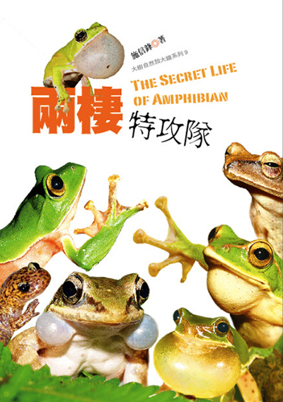 兩棲特攻隊