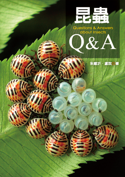 昆蟲Q&A