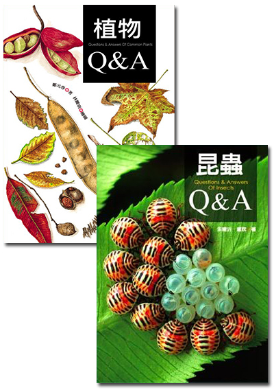 植物Q&A + 昆蟲Q&A