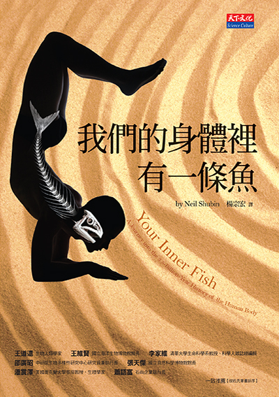 我們的身體裡有一條魚