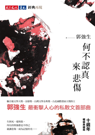何不認真來悲傷（十週年暢銷典藏版）