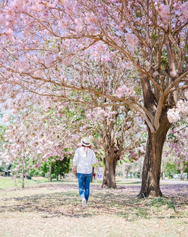 當癌症成為慢性病！
