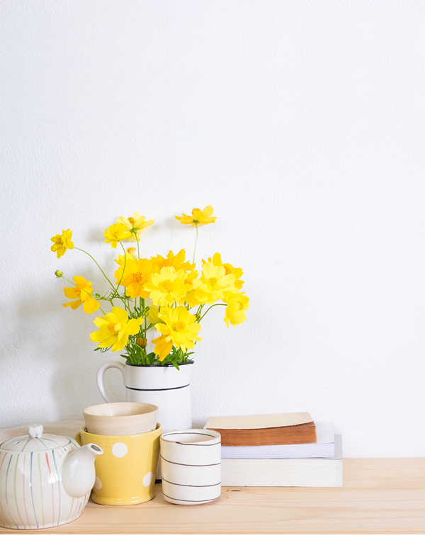 在家如何滋養身與心？