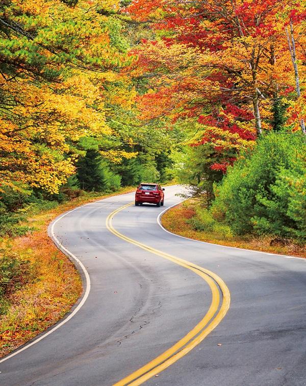中年後有兩個窩，換地方生活