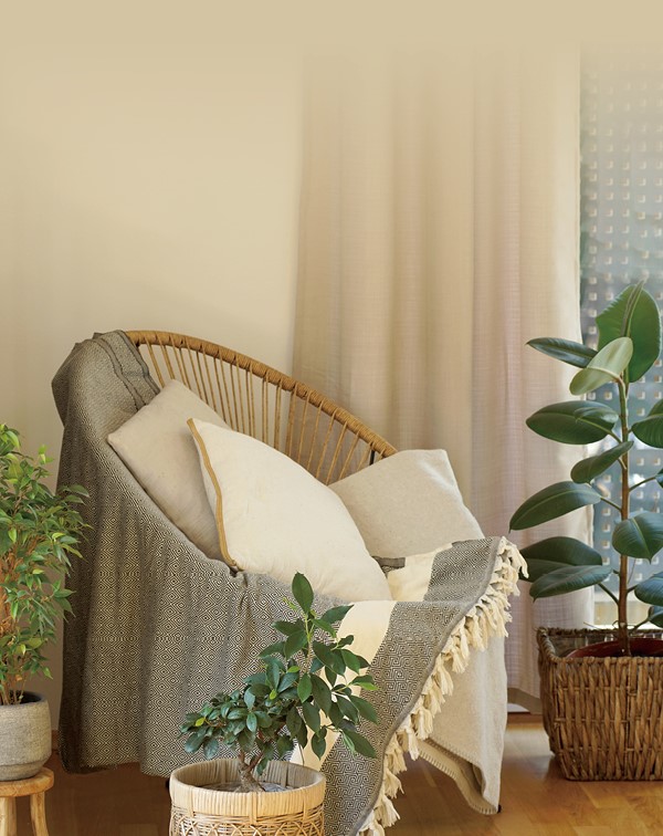 沒有家人同住，一個人如何安老？ 