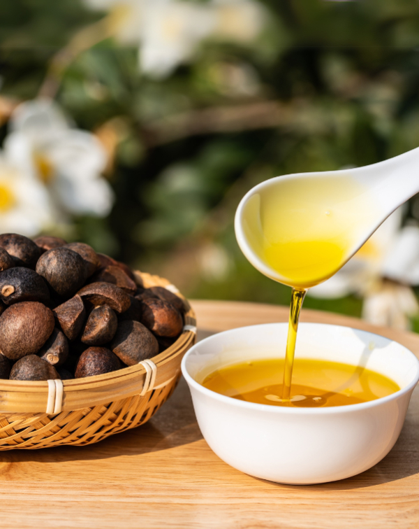 選擇日常食用油教戰手冊