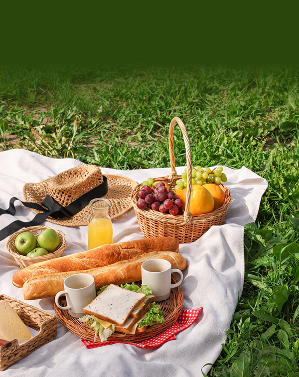 膝蓋痛也能去的景點