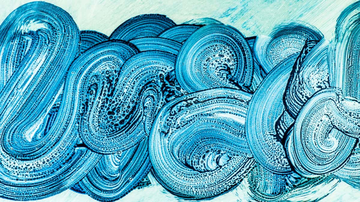 策略與用「不確定」當藉口