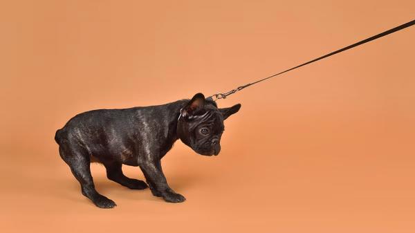 【2月號搶先看】僅不到半數員工信任你！領導人怎麼辦？