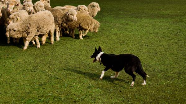 改善主持會議能力的六項好處