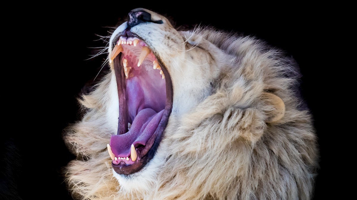 領導人強調負面才吸引人？