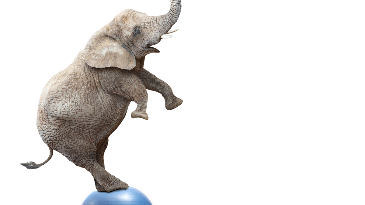 兼顧主動出擊與遵從紀律