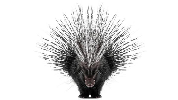 別讓受命共事的部門備感威脅》突破跨團隊合作盲點