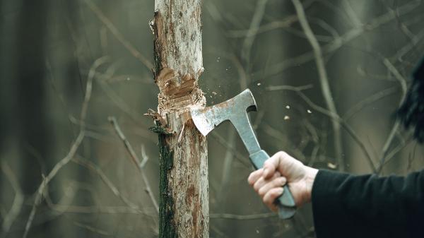 為何這麼努力，成果卻不如預期？