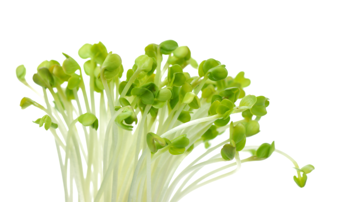 小品牌如何變大