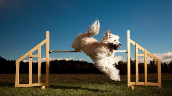 求才只問技能不問學歷，距離成功落實還有多遠？