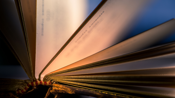 「全部記得」不等於「全部學會」，更不是「全部活用」