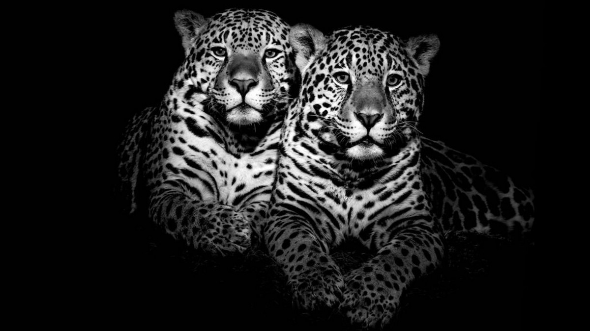 招募人員眼中的配偶因素 － 不只你有事業心，我也有