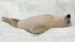 睡飽睡滿，助你成為高層