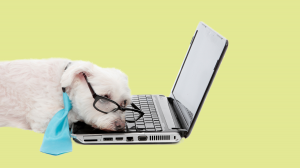 對方不回覆電郵,如何追蹤下去?