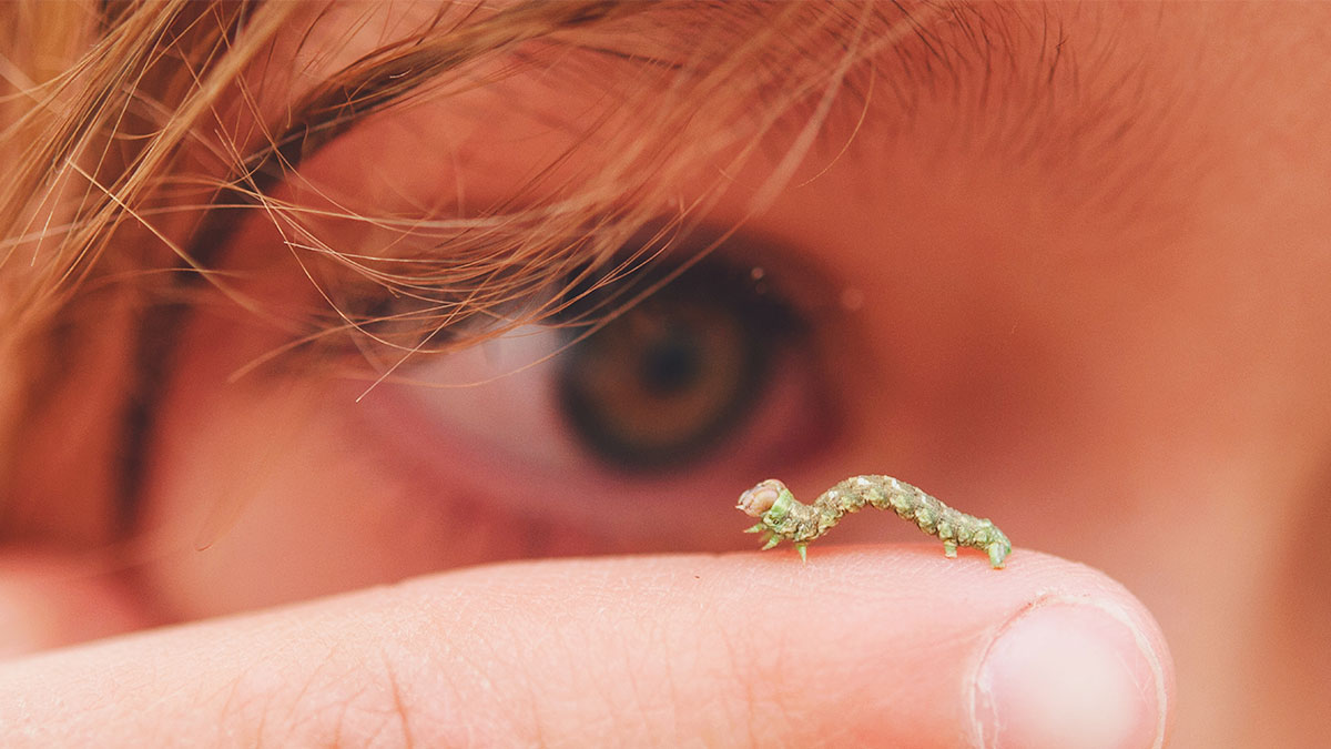 從小處思考，讓我打造出價值20億美元的公司