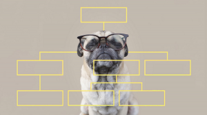 冥想助領導力升級