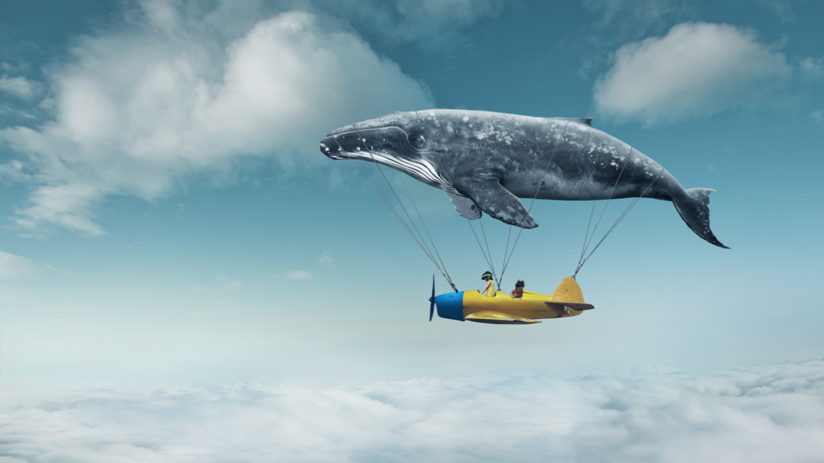 資訊科技之外的資訊長職責