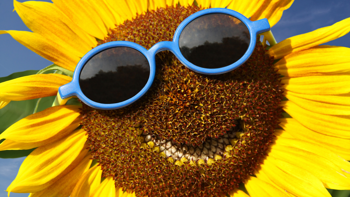 為何應該將笑聲視為衡量標準