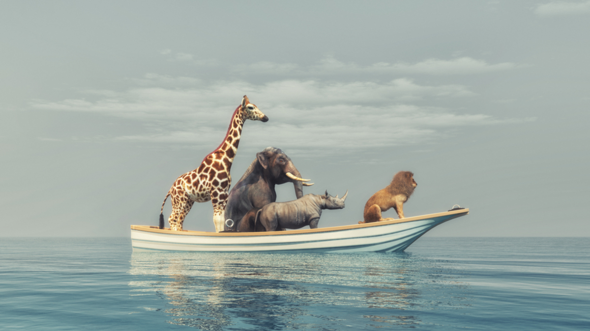 不要忽略自己召集眾人的力量