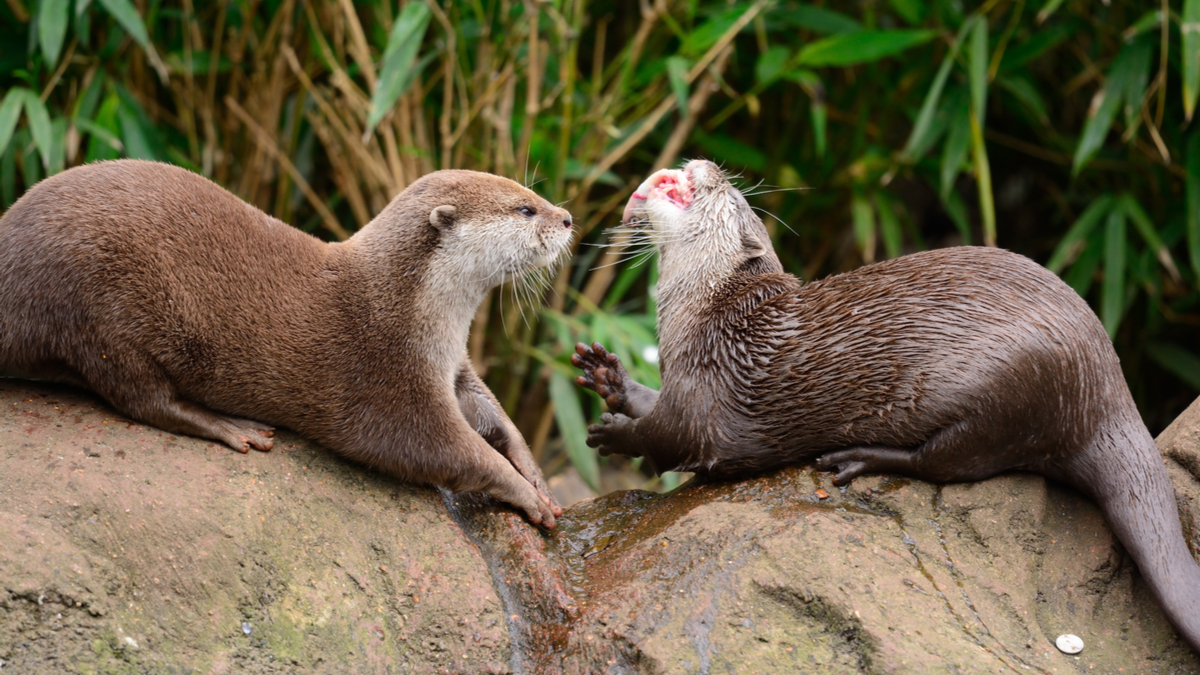 嫉妒同事成功時該怎麼辦？