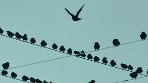 別讓裁員毀了公司