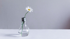 我們需要更多不把成長擺第一的新創公司