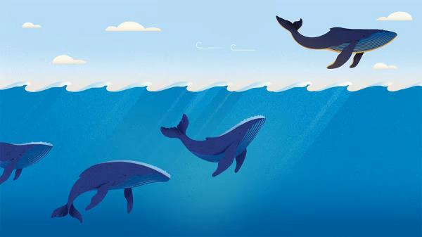 植入導師文化，創造企業十倍獲利