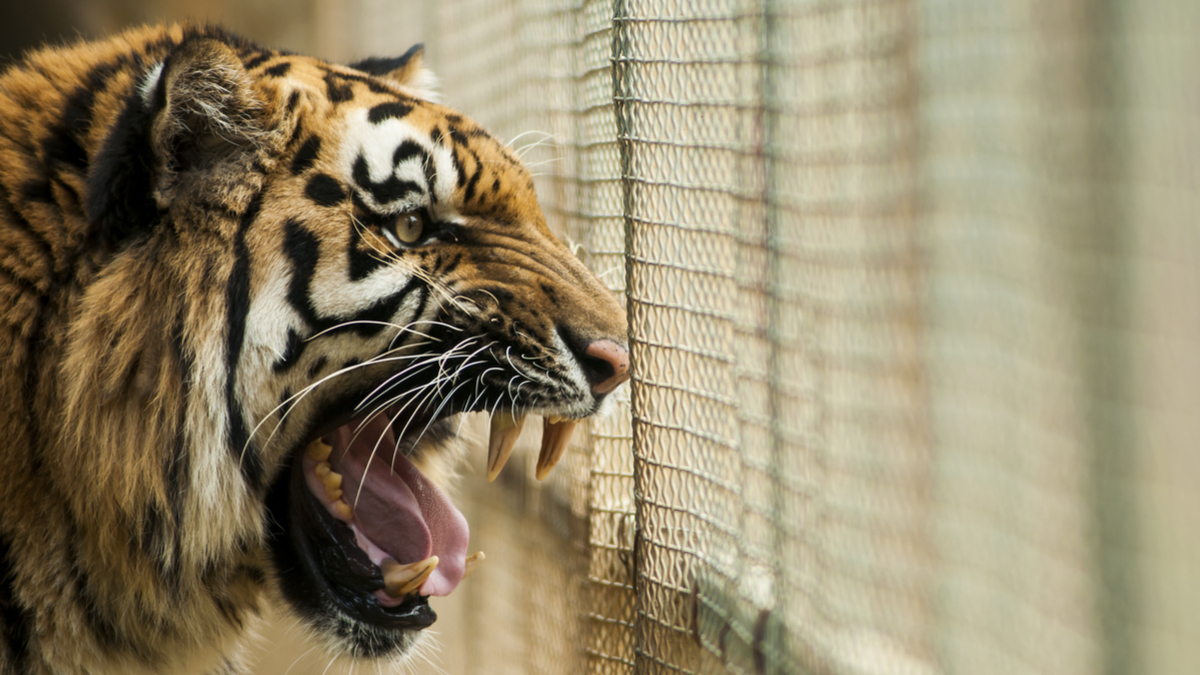 批評,會讓對方更難改變