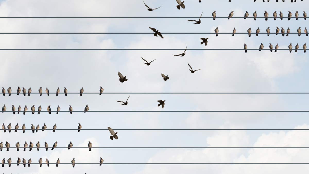 企業研發為何移往海外