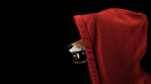 新競爭生態：掠食者與獵物