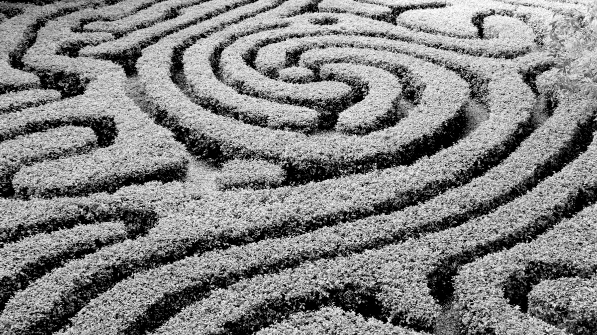 為什麼組織非常害怕簡化