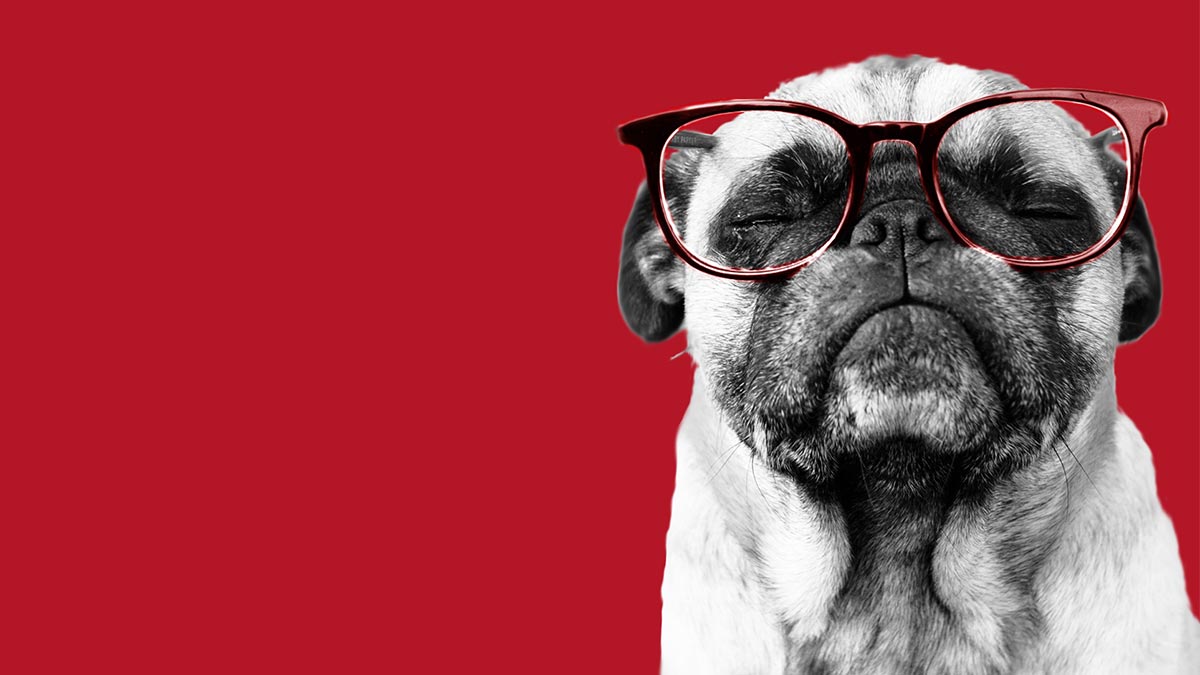 如何管理比你聰明的人