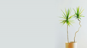 三招鼓動員工擁抱彈性工作