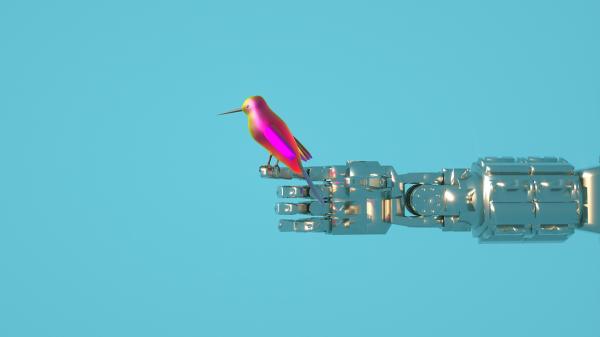 負責任使用人工智慧的13個原則