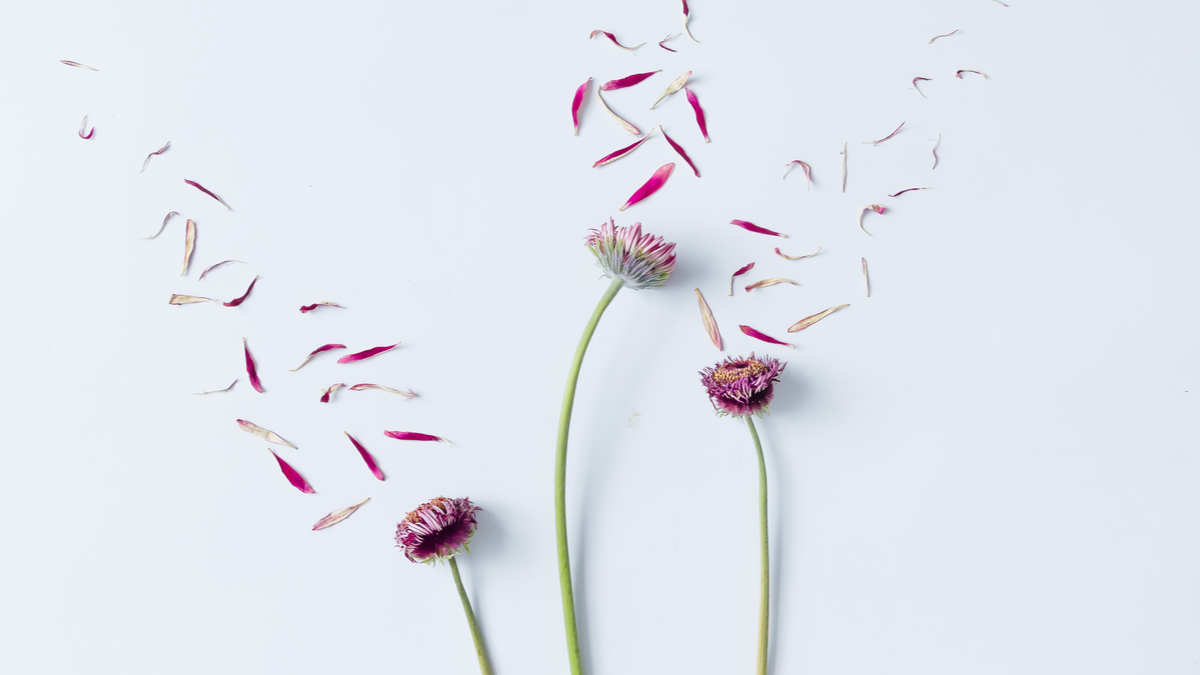 成功的企業裁員時