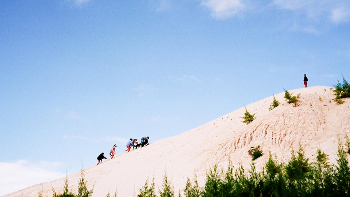 為什麼領導人較追隨者容易接受輔導