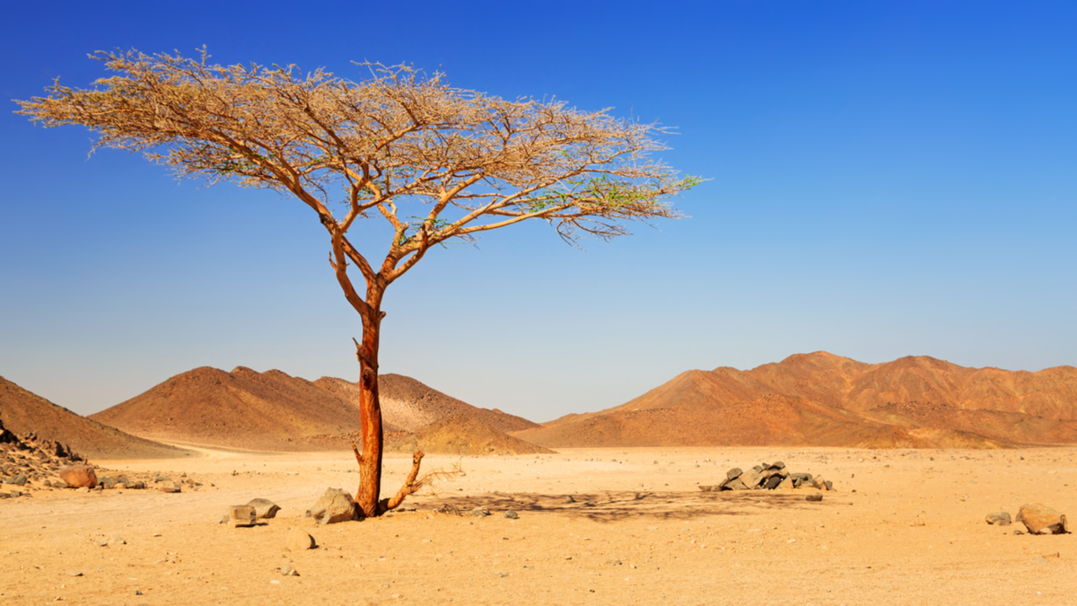 解決能源業即將出現的人才荒