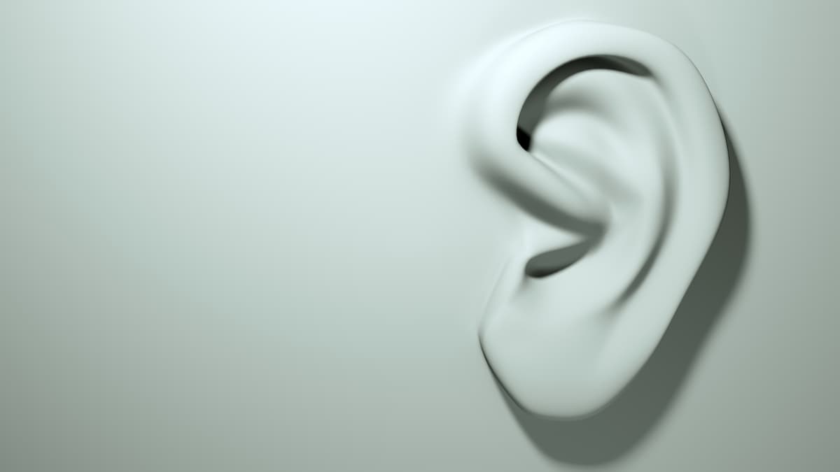 在工作上提出逆耳忠言