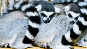 復原力不是一味忍耐