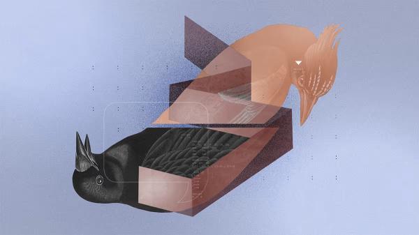 小心團隊的沉默殺手！領導者別讓員工變孤島