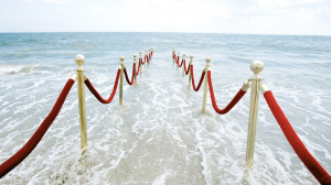 被開除，對職涯有利？