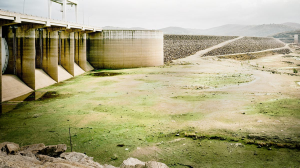 廣告阻擋帶來的意想不到後果